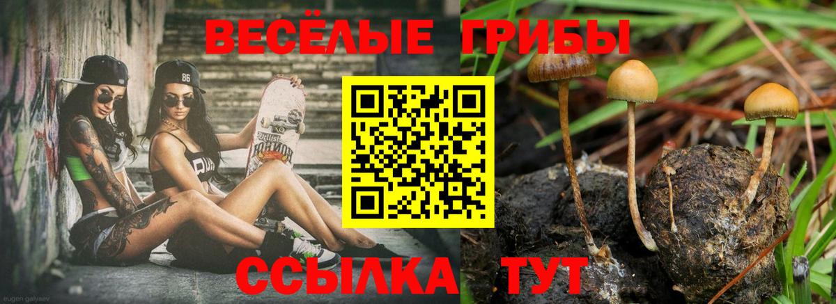Псилоцибиновые грибы GOLDEN TEACHER Старый Оскол